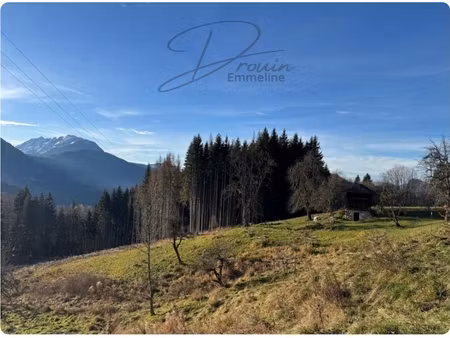 ensemble de parcelles naturelles araches la frasse (74)