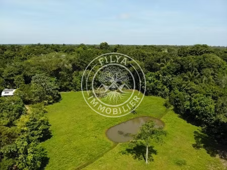 vente terrain 5000 m² à macouria tonate (97355)  325 000 €