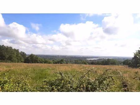 vente terrain 597 m² à drain (49530)  81 000 €