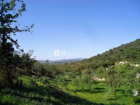 vente terrain 6922 m² à grimaud (83310)  900 000 €