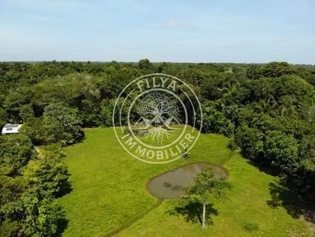 vente terrain à batir à macouria tonate (97355)  325 000 €
