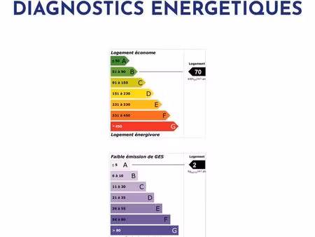 appartement entièrement rénové : 3 chambres à coucher  2 sdb  1salon/séjour lumineux avec 