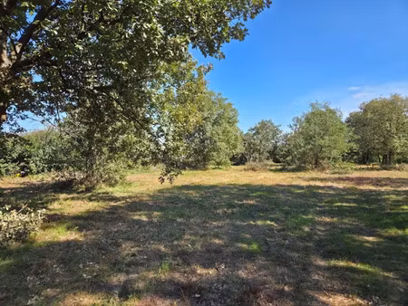 vente terrain 503 m² à seysses (31600)  96 500 €