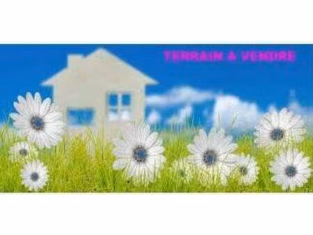 terrain constructible viabilisé à vendre