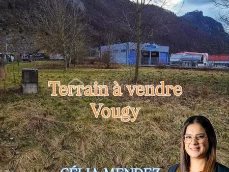 vente terrain 1413 m² à vougy (74130)  219 000 €
