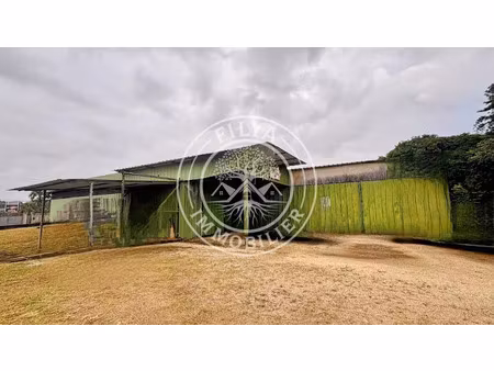 vente locaux professionnels 435 m² à remire montjoly (97354)  676 000 €