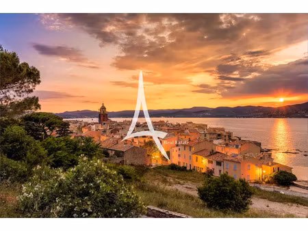 vente locaux professionnels 8 pièces 380 m² à saint-tropez (83990)  13 500 000 €