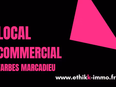 vente locaux professionnels 1026 m² à tarbes (65000)  318 000 €