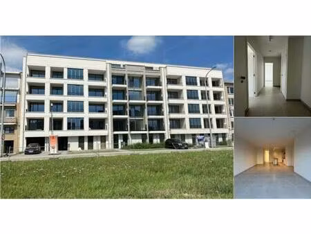 duplex à louer à bisschoppenhoflaan 339 deurne (rbv43984)