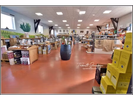 vente locaux professionnels 310 m² à nonancourt (27320)  299 000 €
