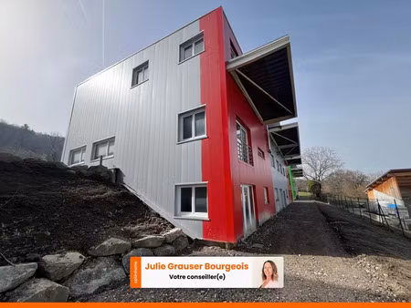 vente locaux professionnels 342 m² à maxilly-sur-léman (74500)  399 000 €