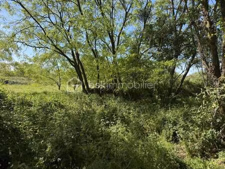 vente terrain au mans za z.i.s. (72000) : à vendre / 10138m² le mans za z.i.s.