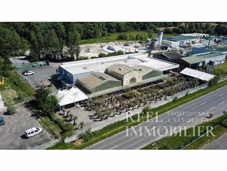 local d'activité de grande surface - zone commerciale dynamique