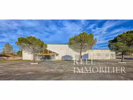 local professionnel de 3 000 m² sur 7 400 m² de terrain ? grandes surfaces commerciales  s