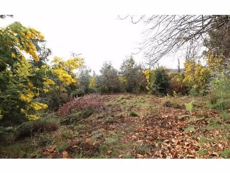 terrain berre-les-alpes m² t- à vendre  30 000 €