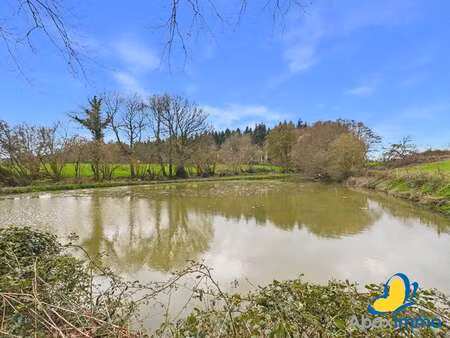 vente terrain à falaise (14700) : à vendre / 3168m² falaise