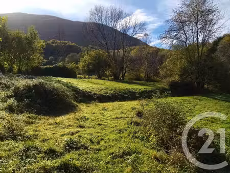 terrain à vendre - 10490 m2 - fougaron - 31 - midi-pyrenees