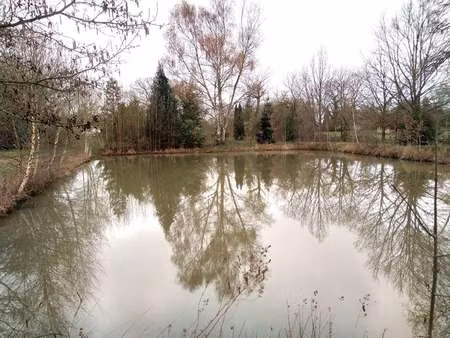 vente terrain à marcillé-raoul (35560) : à vendre / 52300m² marcillé-raoul