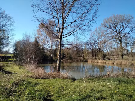 vente terrain à marcillé-raoul (35560) : à vendre / 5230m² marcillé-raoul