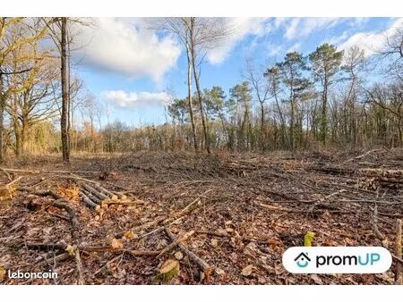 terrain 3 925 m² chatillon sur cher