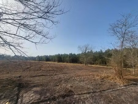 terrain 465 m² saint avit