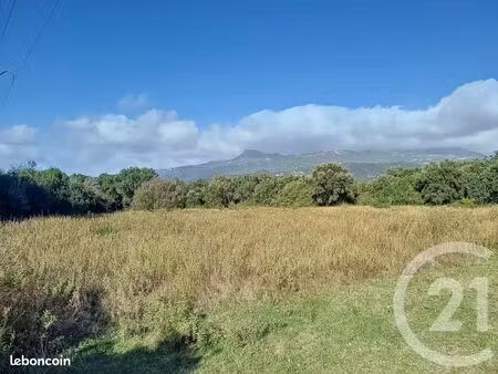 a louer terrain plat 5000 m² à borgo