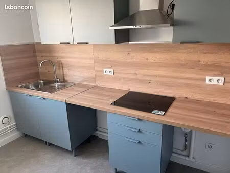 appartement entièrement rénové