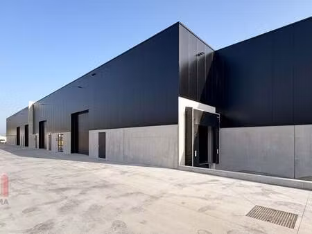 bien professionnel à louer à buggenhout € 2.239 (lly0s) | zimmo