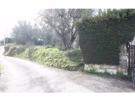 terrain contes m² t- à vendre  175 000 €