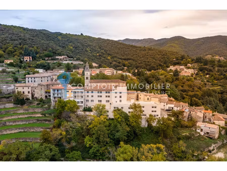 mur commerciaux panoramique cevennes meridionnale