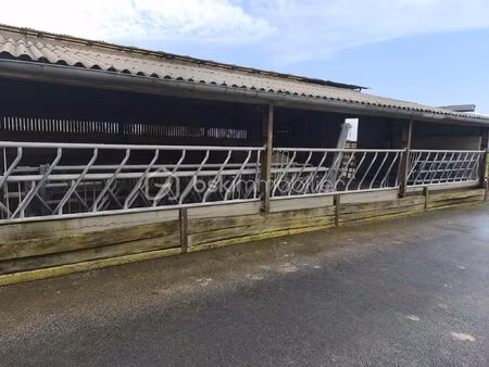 maison de 100 m² à champien