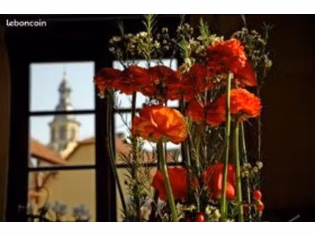 appartement 3 pièces 45m2 à osthouse près d'erstein