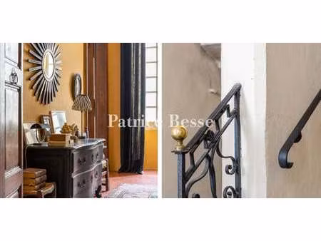 maison avec terrasse arles (13)