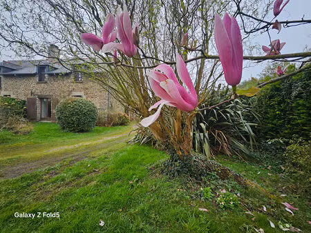charmante maison de bourg avec jardin au calme ? lanvallay
