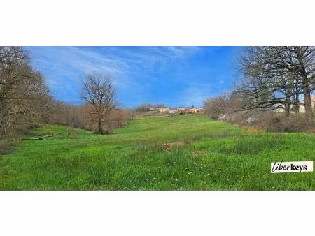 terrains constructibles 2 hectares - opportunité rare - projet de lotissement