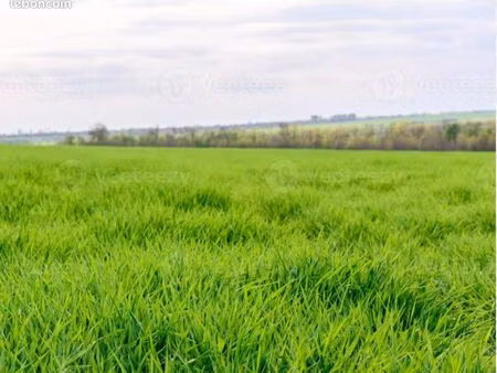 recherche foncier agricole