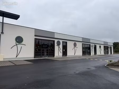 local commercial 300 m² botans