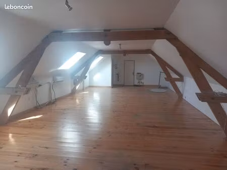 local professionnel avec bureau et depot