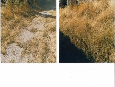 ancienne maison à rénover