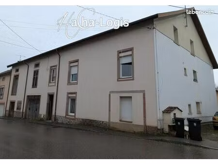 immeuble 300 m² corcieux