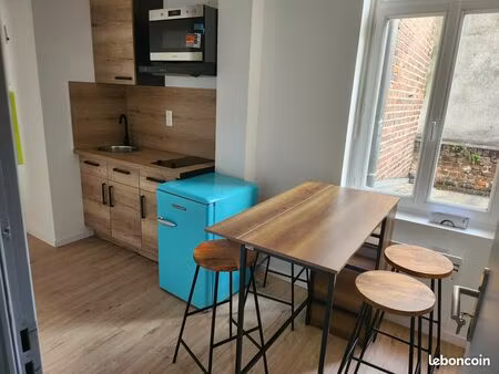 studio 20 m2 rénové à neuf   centre-ville