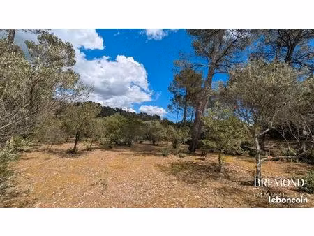 terrain 1000 m² gareoult