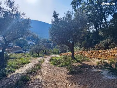 terrain 1 920 m² sollies toucas