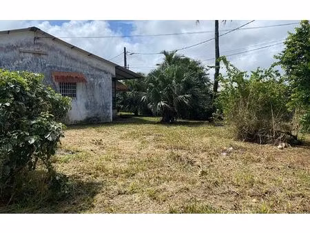 maison cayenne m² t-3 à vendre  183 600 €