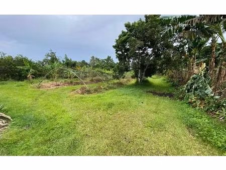 terrain basse-pointe m² t- à vendre  480 000 €