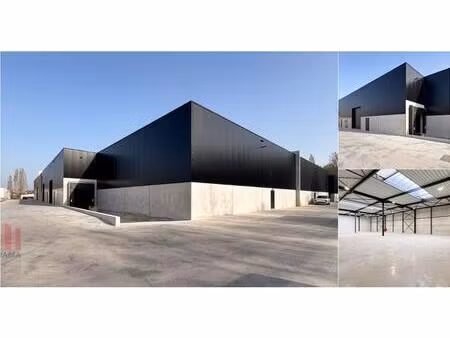 surface industrielle à louer à kalkenstraat 19 buggenhout (rbv44184)