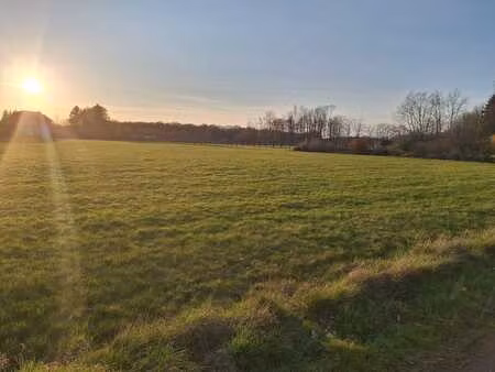 terrain à vendre – courrière (40ares)