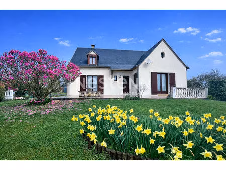 vente beau pavillon sur sous-sol avec jardin arboré et maison de vigne à poncé-sur-le-loir