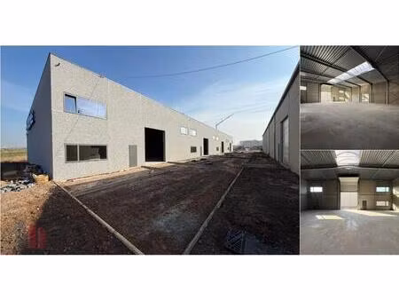 surface industrielle à louer à groenling 16 evergem (rbv44186)