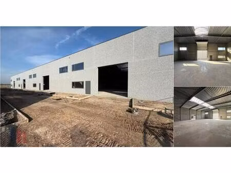 surface industrielle à louer à groenling 16 evergem (rbv44189)